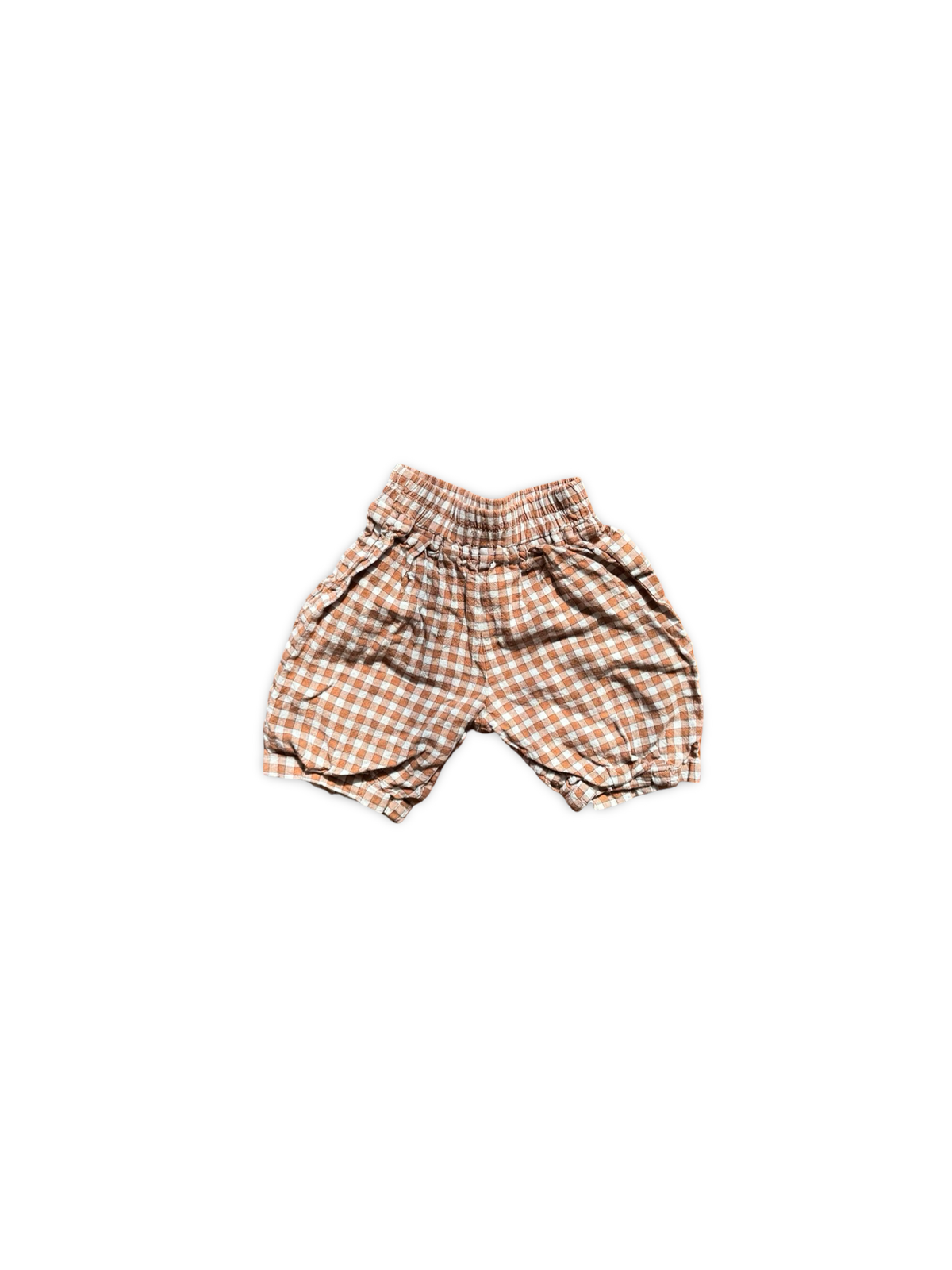 Seed Pants