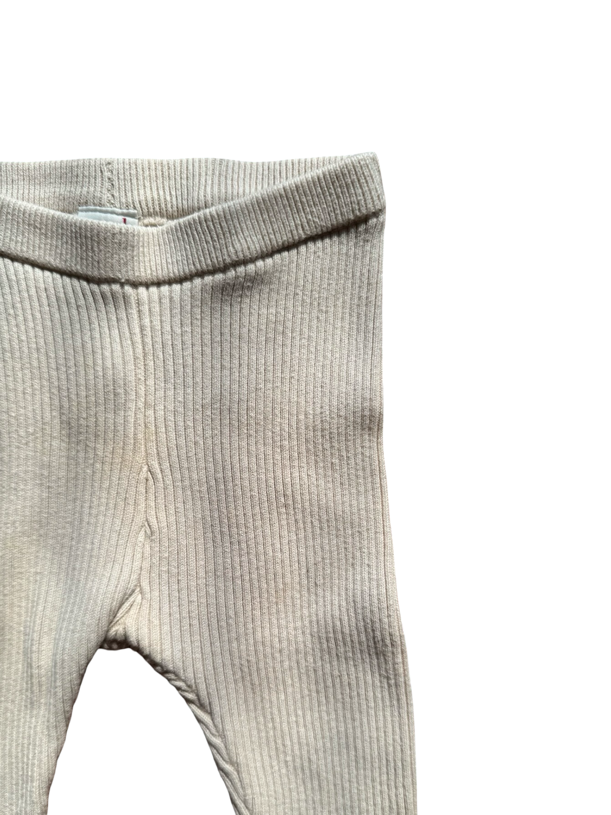 Seed Tights