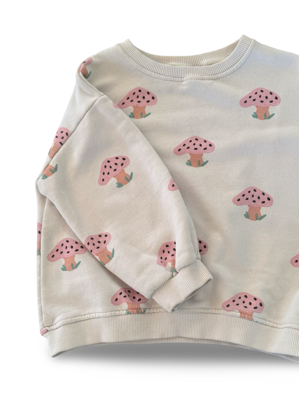 Zara Jumper