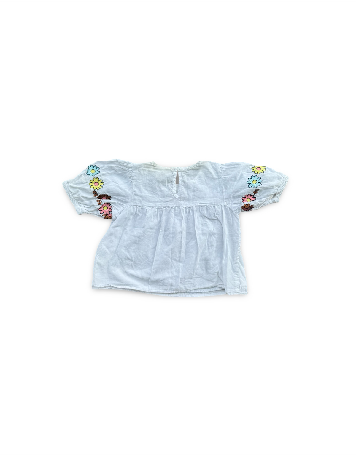 Seed Top