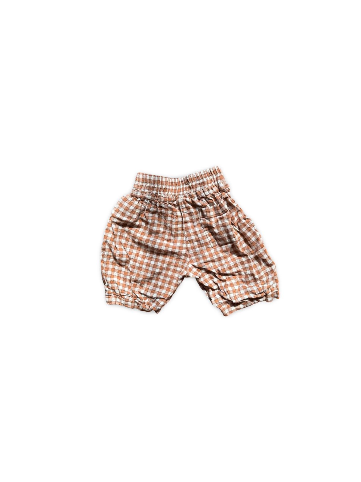 Seed Pants