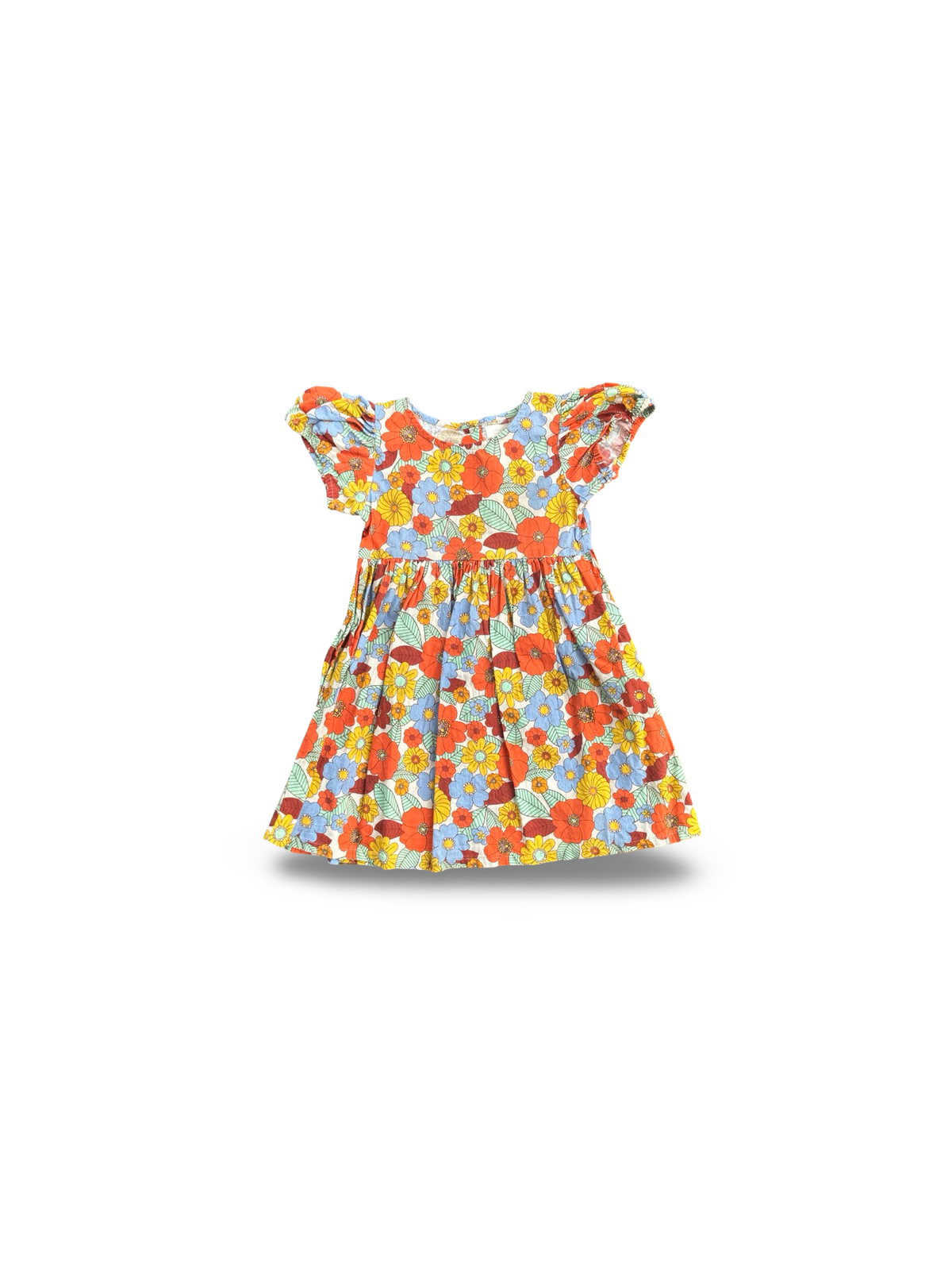 Little Bird Dress