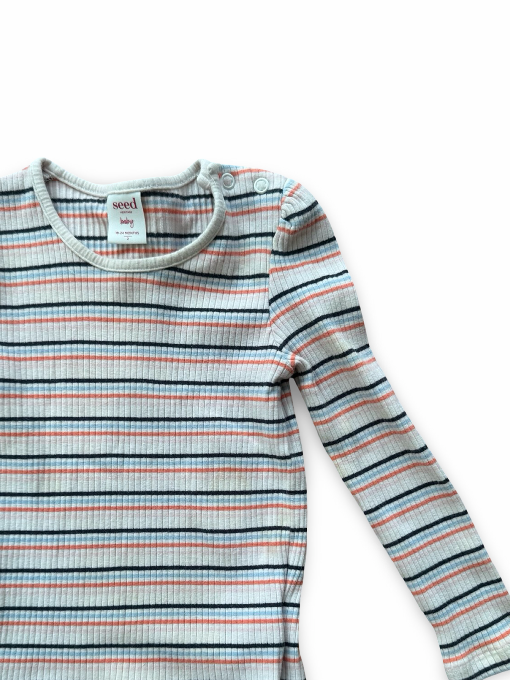 Seed Shirt