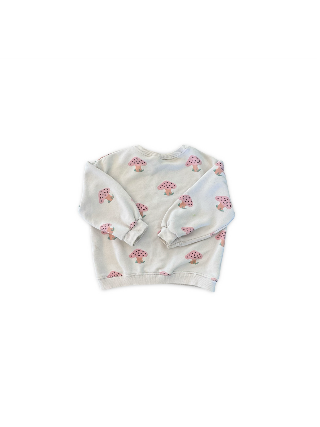 Zara Jumper