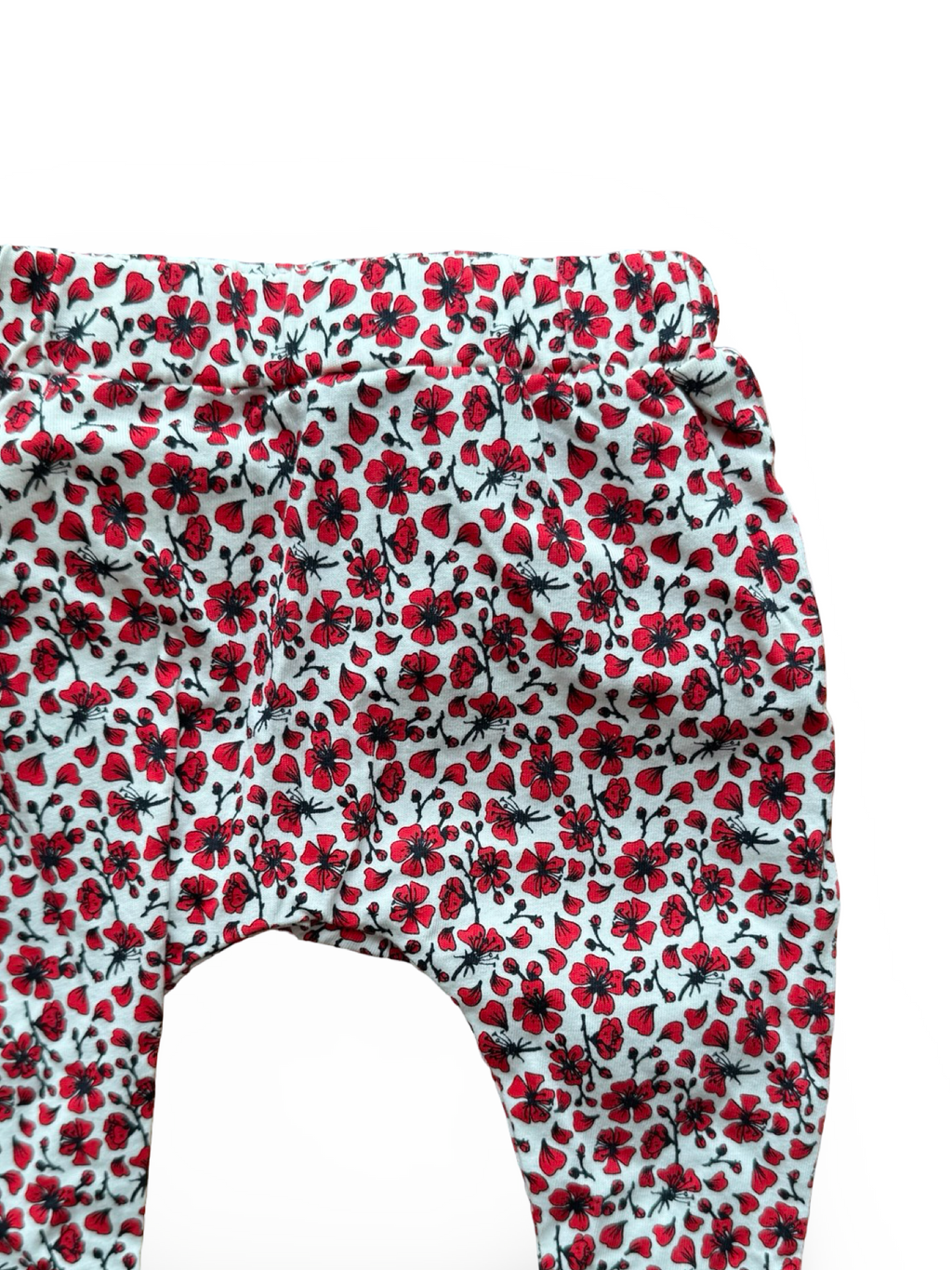 Marquise Tights