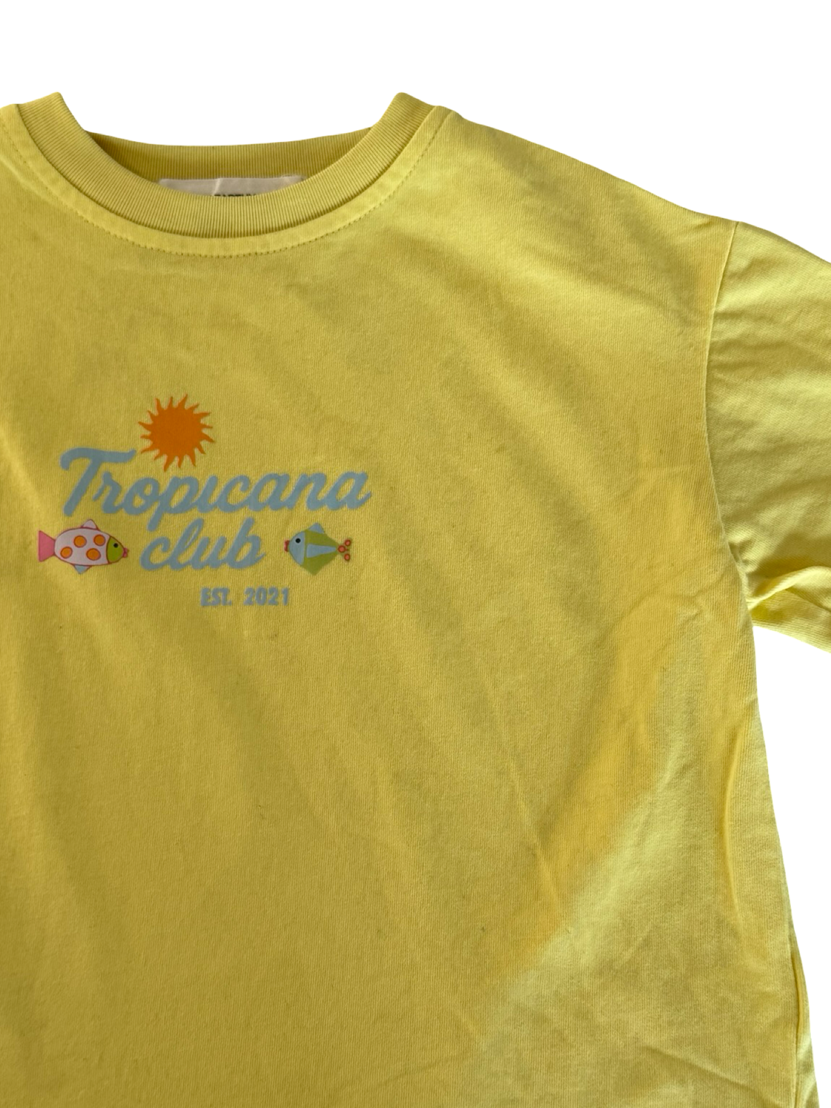 The Earthy Treehouse Tee