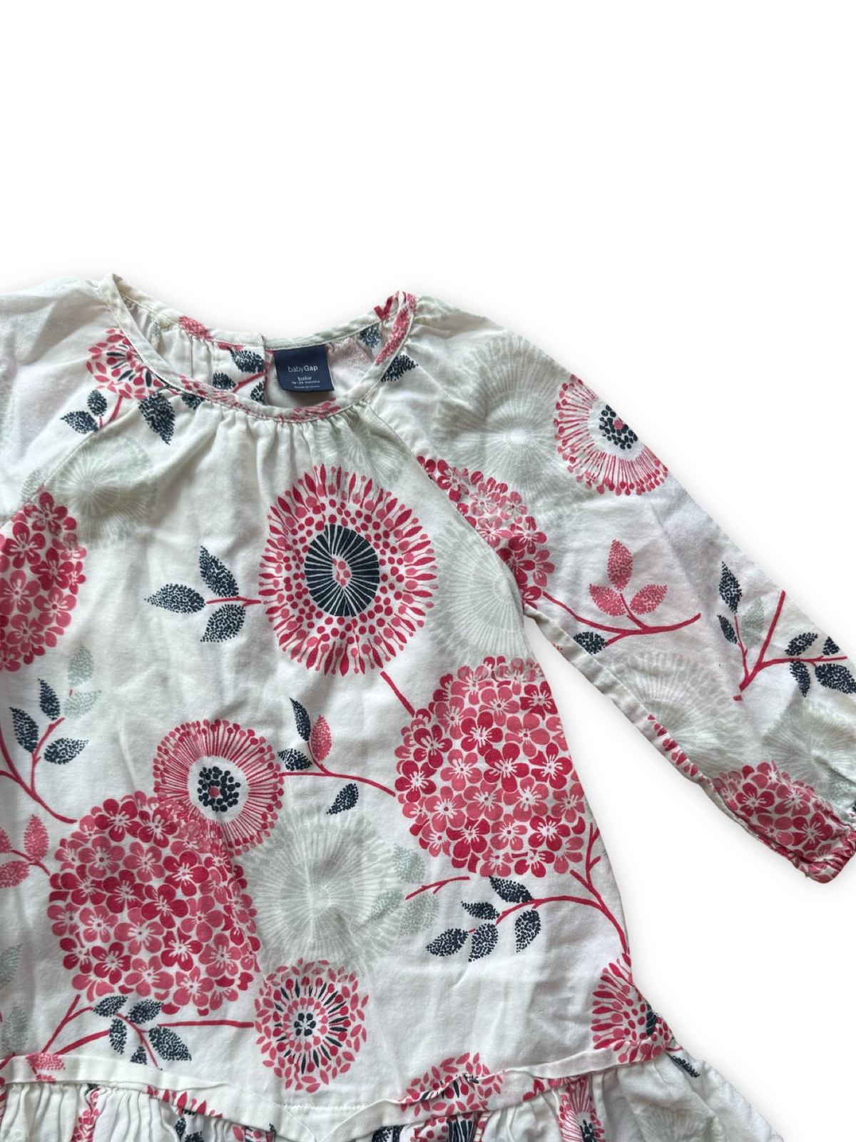 Baby Gap Dress